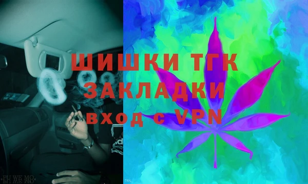 шишки Алзамай