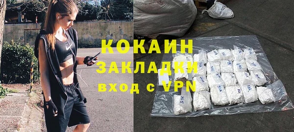 шишки Алзамай