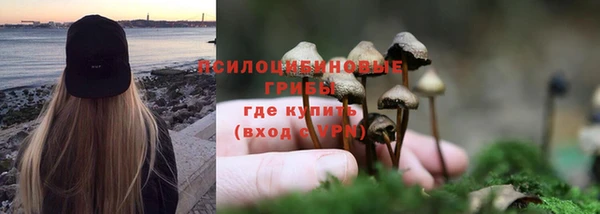 амф Алексеевка