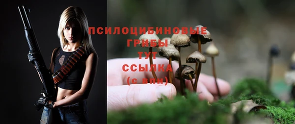 соль ск Абинск