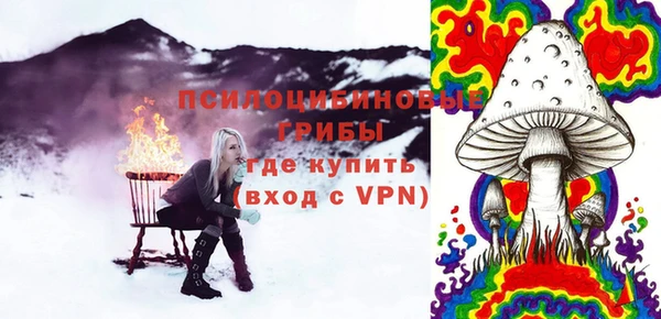 шишки Алзамай