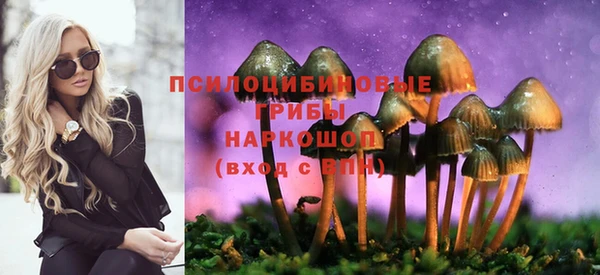 круглые Алексин